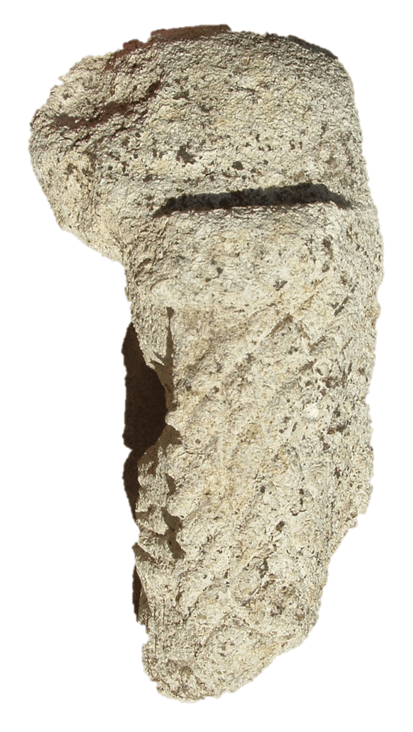 Moj zavičaj to sam ja - Čazma