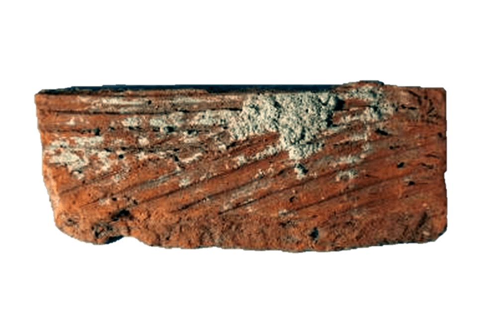 Moj zavičaj to sam ja - Miklouš