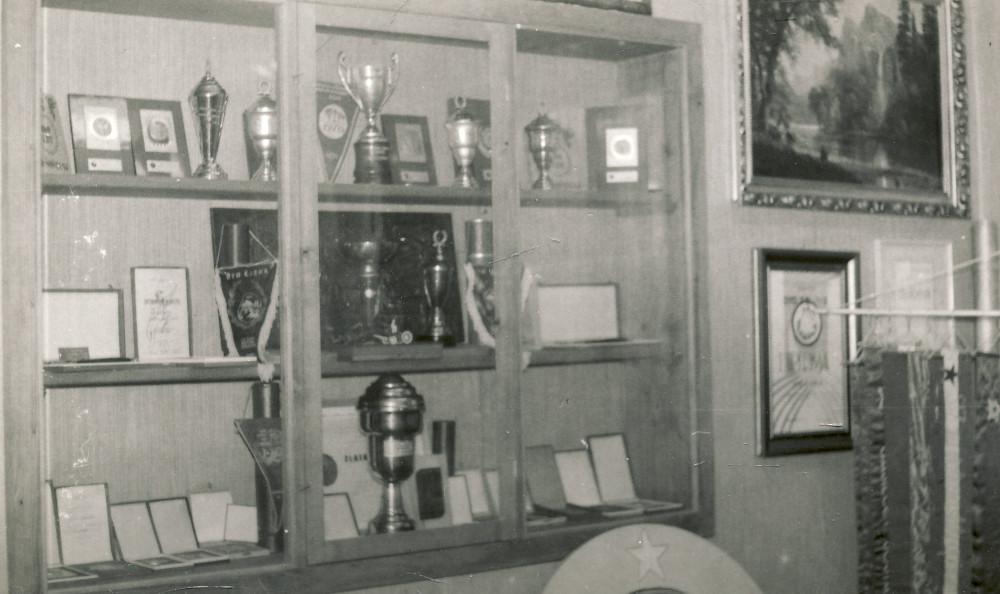 Izložba Dobrovoljno vatrogasno društvo Čazma 1871. - 2021. godina